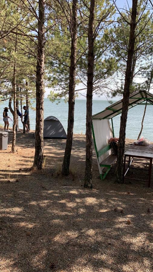 Zhayr Resort & Dive Drakhtik エクステリア 写真