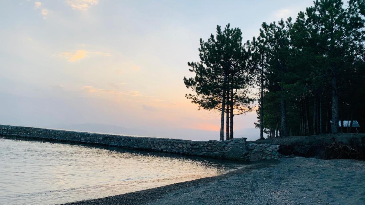 Zhayr Resort & Dive Drakhtik エクステリア 写真